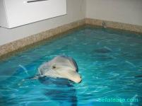 Epoxy Flooring painting
