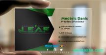 Transparent Business Cards