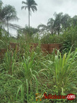 Plot of land for sale