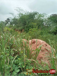 Plot of land for sale
