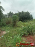 Plot of land for sale