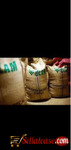 Olam Grain Mill