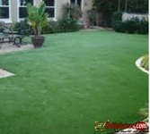 Artificial Carpet Grass sales and installation