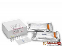 TUBERCULOSIS ELISPOT ASSY KIT