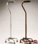 WALKING STICK