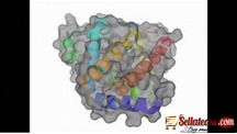 MYOGLOBIN BOX