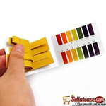 Portable Paper 100pcs Plastic Strips/box
