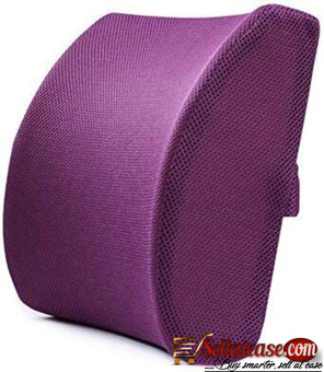 Lumbar Support Back Cushion Pillow F/ Home Office Chair Car