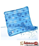Water Cooling Seat Cushion