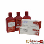 Yes!Star X Ray Monobath Films Set Medical Dental X-Ray Film