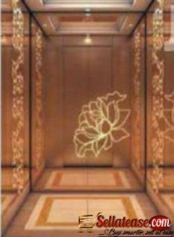Elevator Cabin With Decoration 450kg 6 Person Passenger Lift BY HIPHEN SOLUTIONS