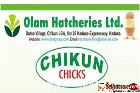 Olam Hatcheries