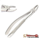 Quality Dental Application Forceps