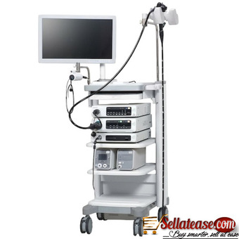 Gastrointestinal Video Endoscopy