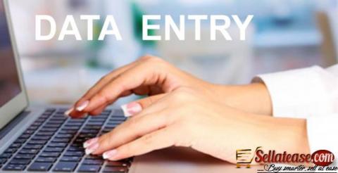 We Will Do Data Entry Jobs