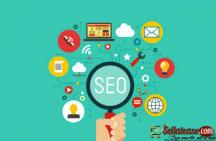 Website design NZ