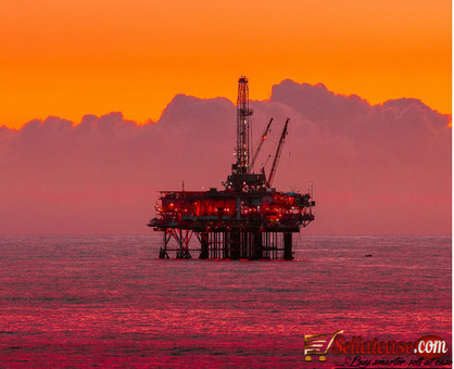 Oil License for Import and Export of Crude Oil and Allied Products for sale in Nigeria