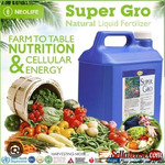 Super gro Fertilizer