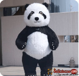 Mascots. Events in Lagos. Weddings. After Parties. Party