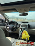 2010 TOYOTA VENZA FULL OPTION FOR SALE