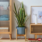 Save 10% Today on Home Improvement Materials at Stridex Clothing