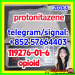 CAS 119276-01-6 Protonitazene Hydrochloride Factory supply