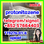 CAS: 119276-01-6 Protonitazene (hydrochloride) |