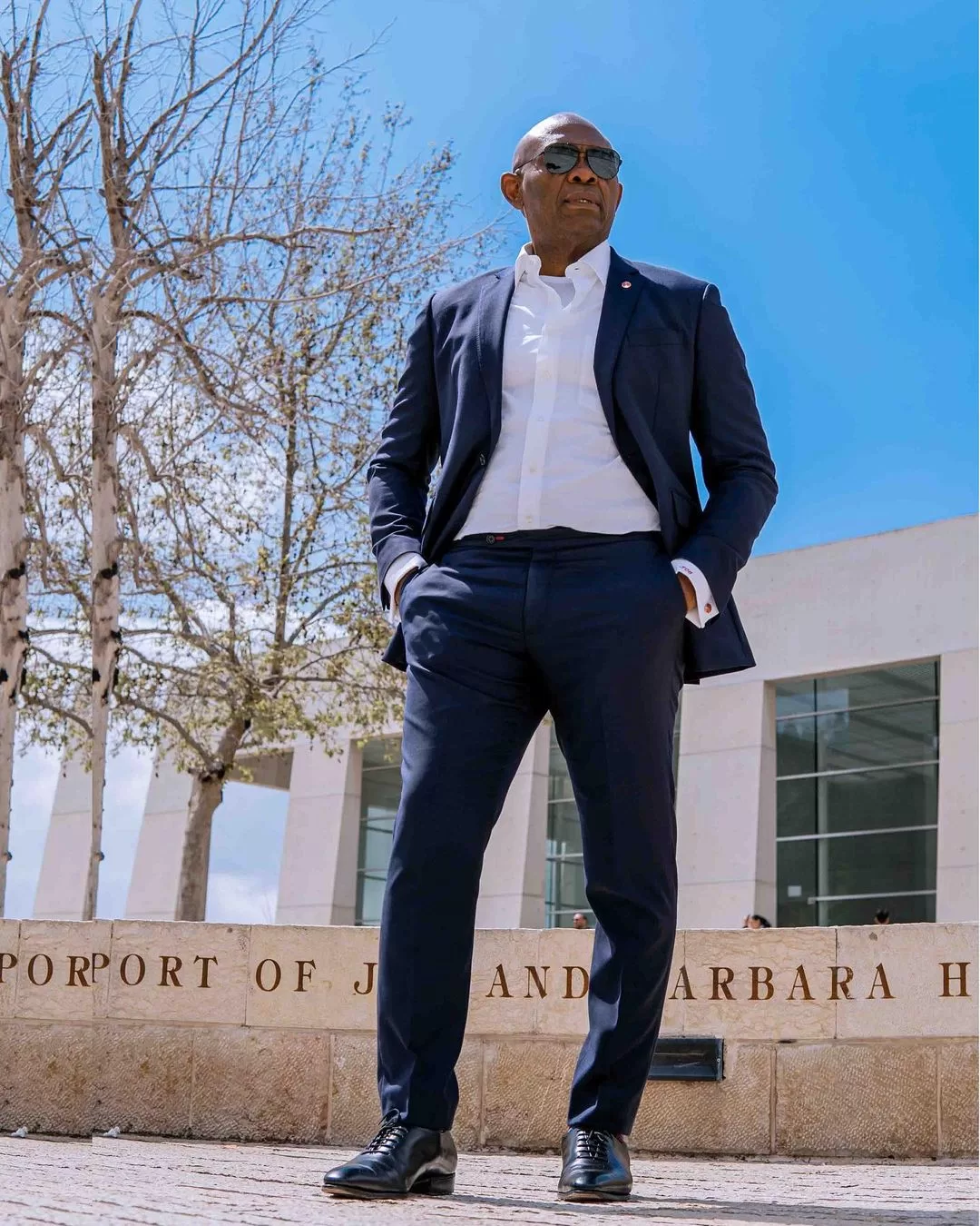 Tony Elumelu's net worth