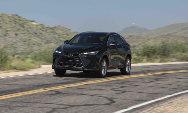 Specifications, release date, MSRP, and price of the 2025 Lexus NX in Nigeria