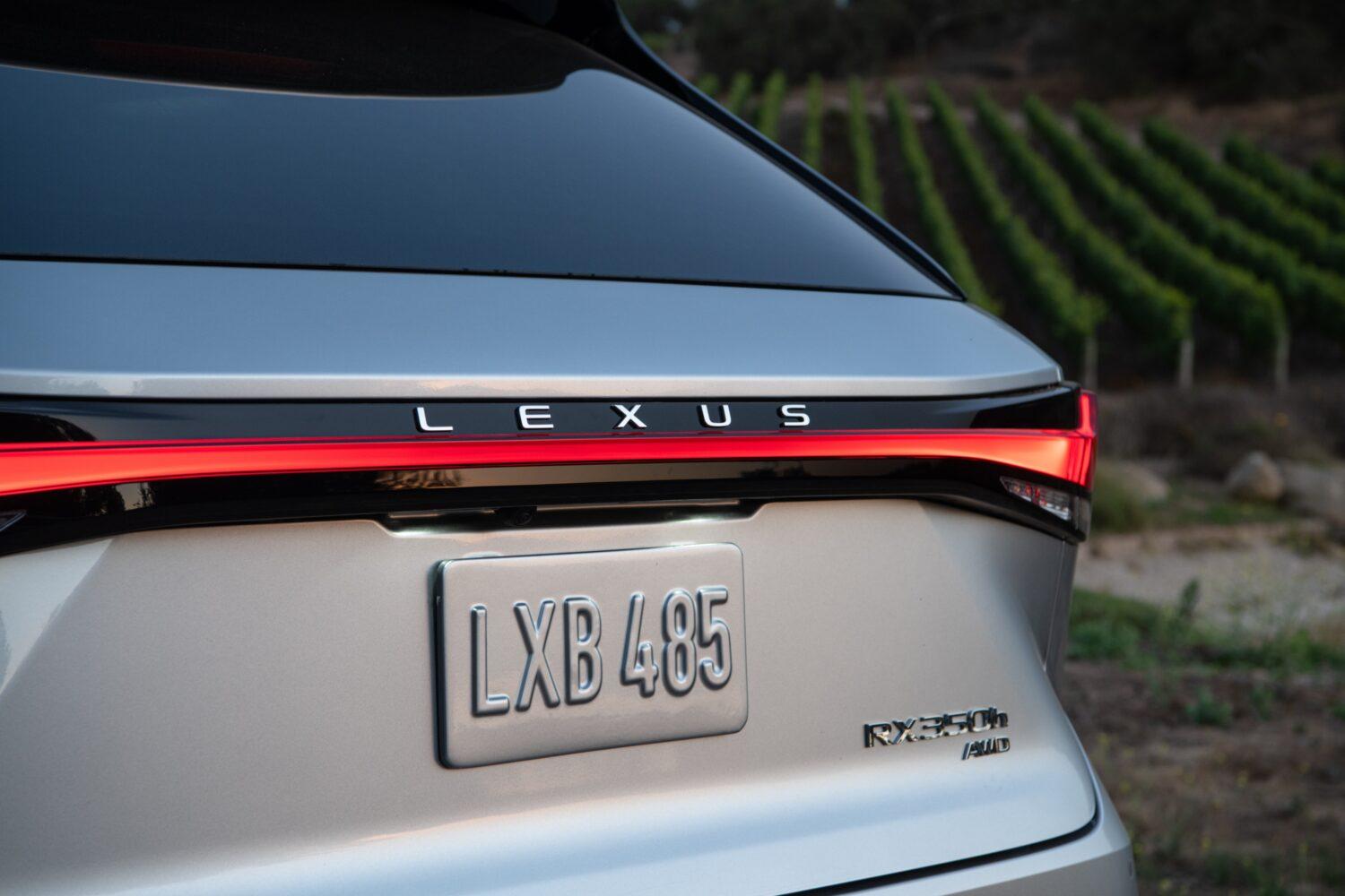 The rear design of the 2025 Lexus RX